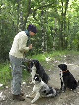 leonore en de border collies van de boerderij