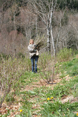 leonore et le jardin des petits fruits