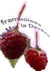 logo fruit