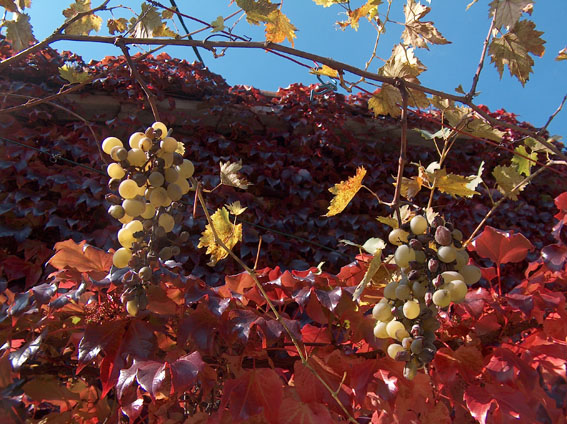 herfst is begonnen
