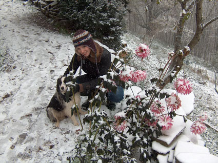 zindzi in de eerste sneeuw eind oct 08